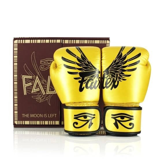 Sarung Tinju Fairtex BGV1 Falcon / Boxing glove Muay thai gloves