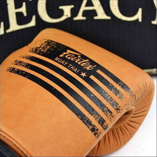 Sarung Tinju Fairtex BGV21 Legacy / Boxing Muay thai Gloves