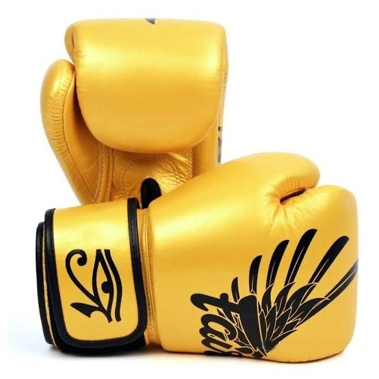 Sarung Tinju Fairtex BGV1 Falcon / Boxing glove Muay thai gloves
