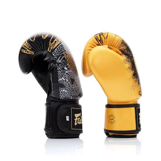 Sarung Tinju Fairtex BGV26 The Harmony Six / Boxing Muay thai Gloves