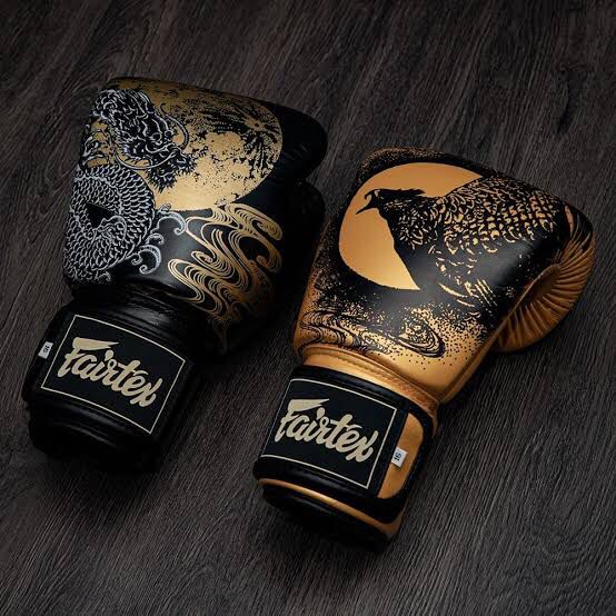 Sarung Tinju Fairtex BGV26 The Harmony Six / Boxing Muay thai Gloves