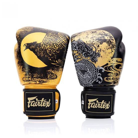 Sarung Tinju Fairtex BGV26 The Harmony Six / Boxing Muay thai Gloves