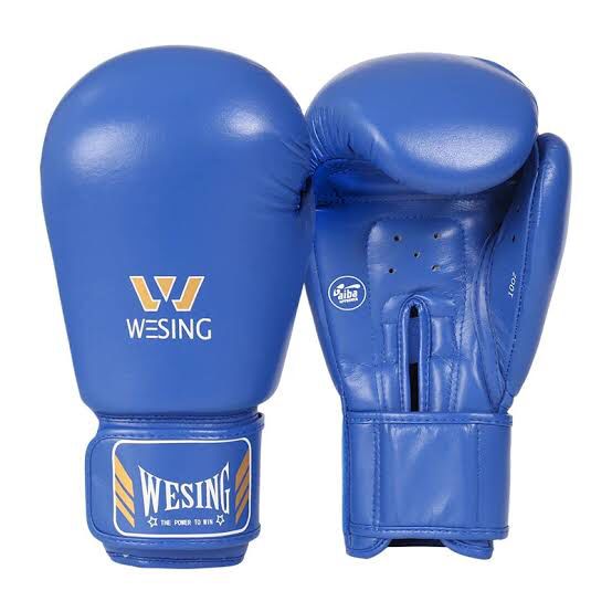 Sarung Tinju Wesing AIBA / IBA APPROVED / Boxing gloves muay thai