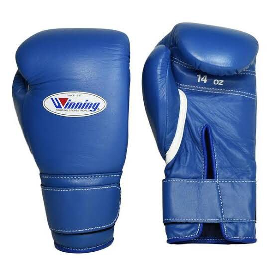 Sarung tinju Winning MS Classic Colour Velcro / Boxing gloves tinju