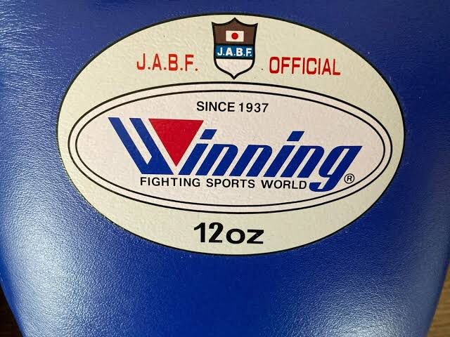 Sarung tinju Winning JABF OFFICIAL / Boxing gloves tinju Winning