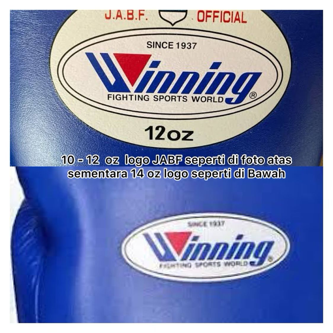 Sarung tinju Winning JABF OFFICIAL / Boxing gloves tinju Winning