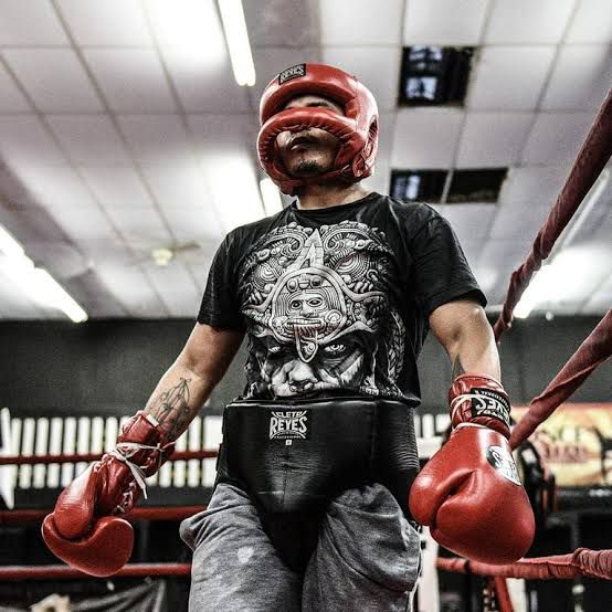 Groin Guard Boxing CLETO REYES KIDNEY AND FOOL PROTECTION GROIN CUP