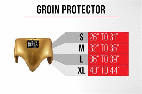 Groin Guard Boxing CLETO REYES KIDNEY AND FOOL PROTECTION GROIN CUP