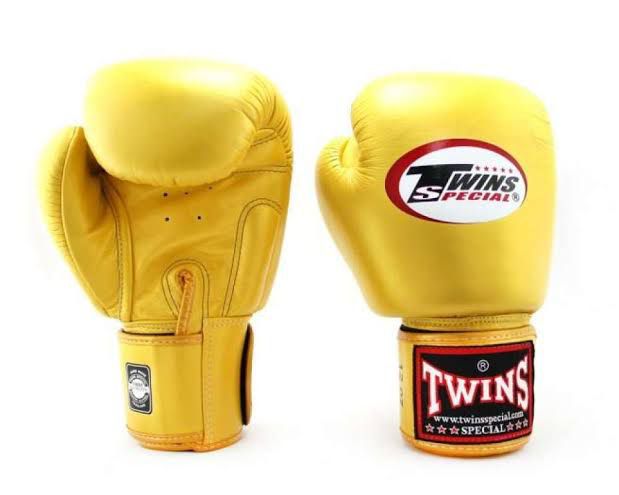 Sarung tinju Twins Special BGVL3 / boxing Gloves / Muay thai Glove