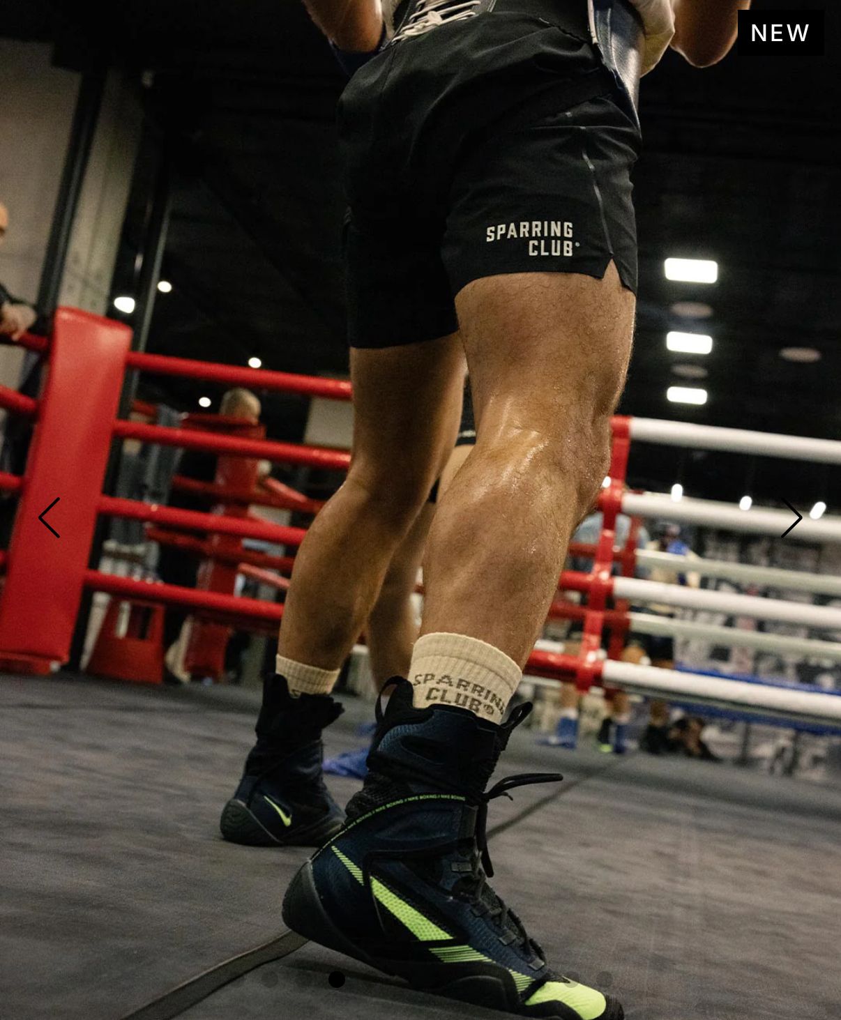 Boxraw Sparring Club Shorts / Boxing Shorts / celana tinju LATIHAN