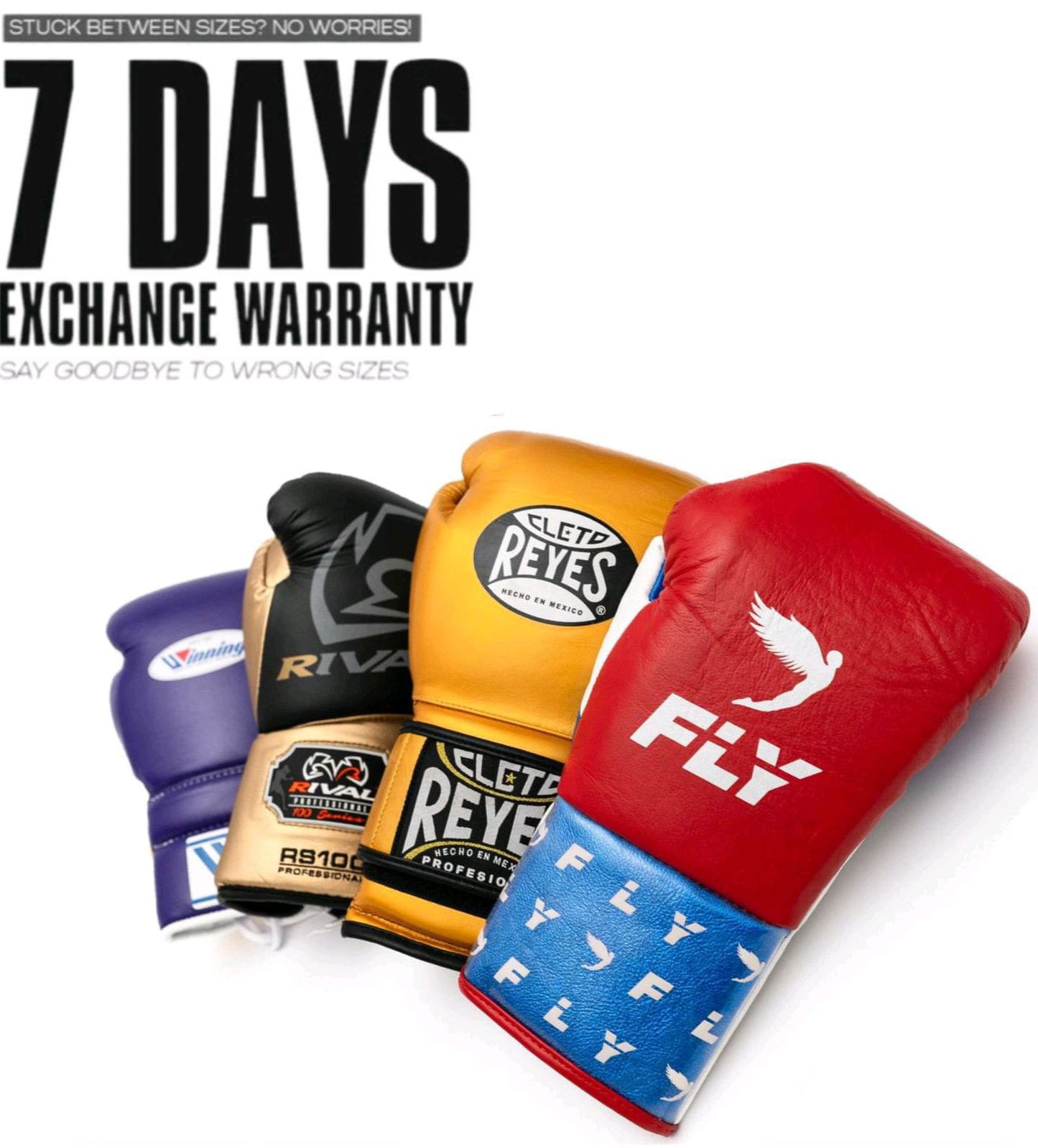 NO BOXING NO LIFE BOXING GLOVES CANELO LOGO / SARUNG TINJU BOXING