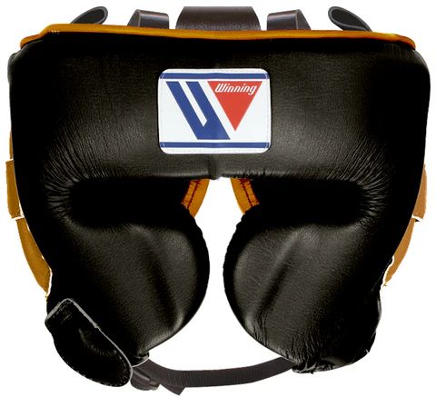 Head Gear Winning FG-2900 Cheek Protector Special Colour boxing tinju