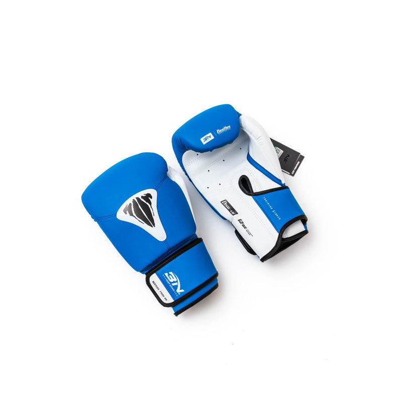 Sarung Tinju BN BEETLES Series / Boxing gloves / sarung muay thai BN