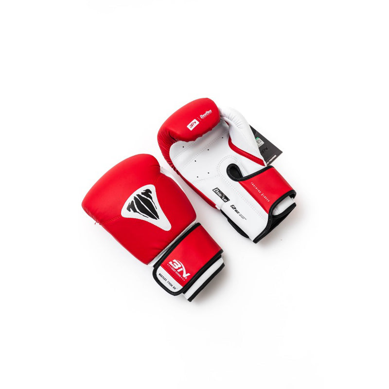 Sarung Tinju BN BEETLES Series / Boxing gloves / sarung muay thai BN