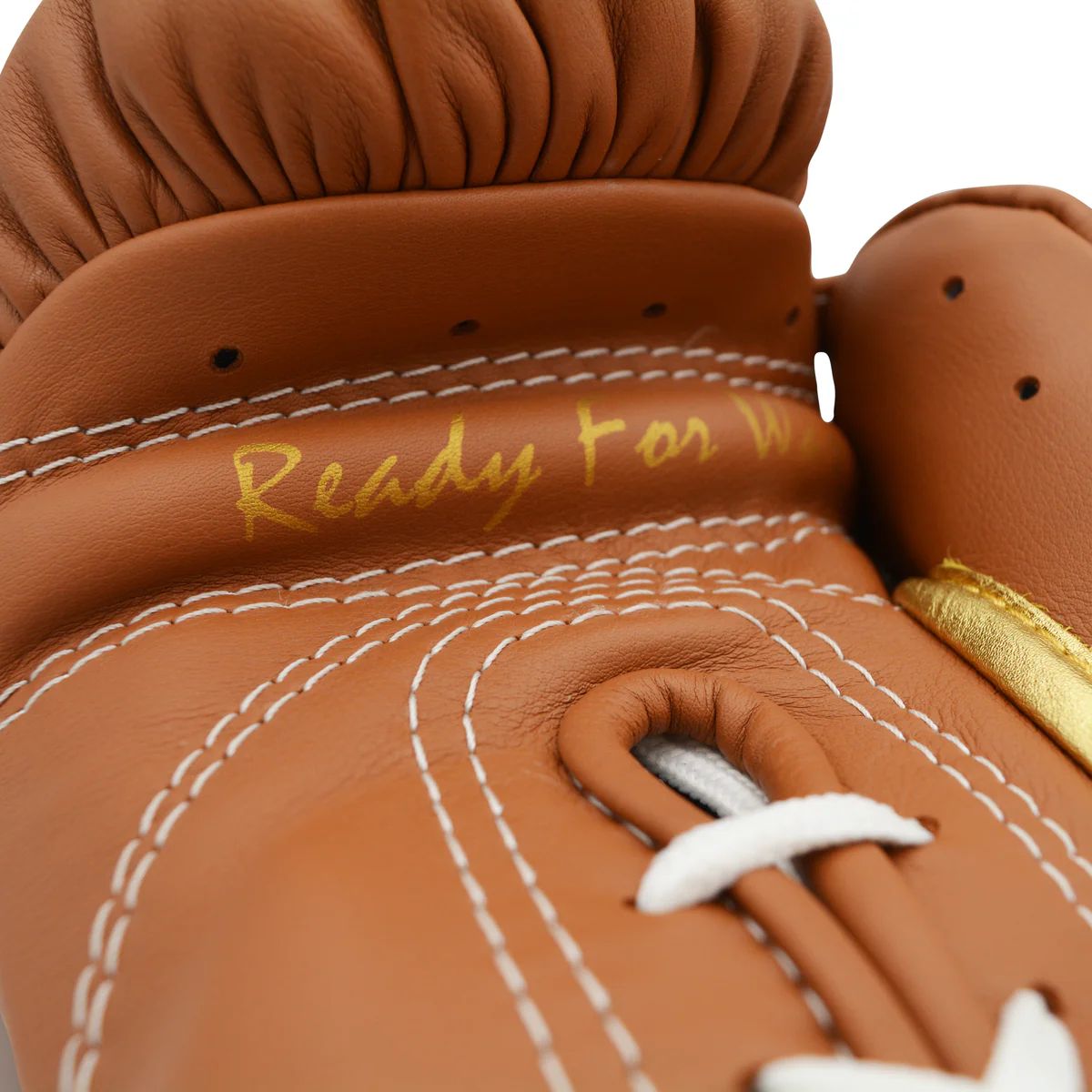 Sarung Tinju Ares Speciale  Hermes Edition / Boxing Gloves