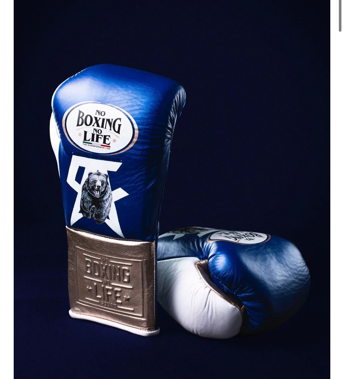 NO BOXING NO LIFE BOXING GLOVES CANELO EDITION / SARUNG TINJU BOXING