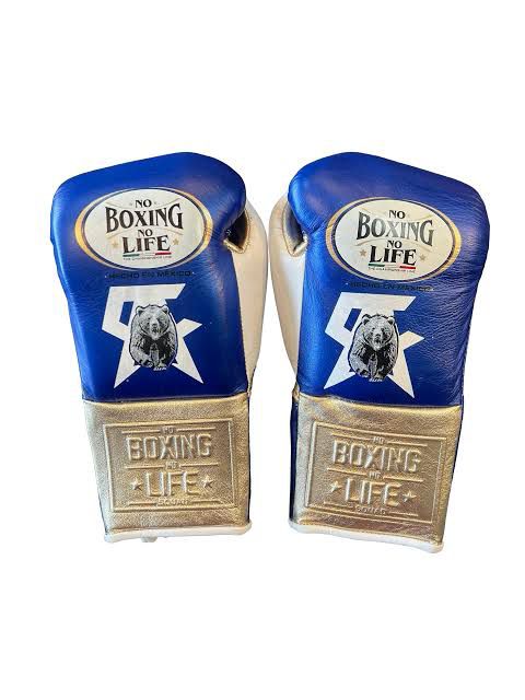 NO BOXING NO LIFE BOXING GLOVES CANELO EDITION / SARUNG TINJU BOXING
