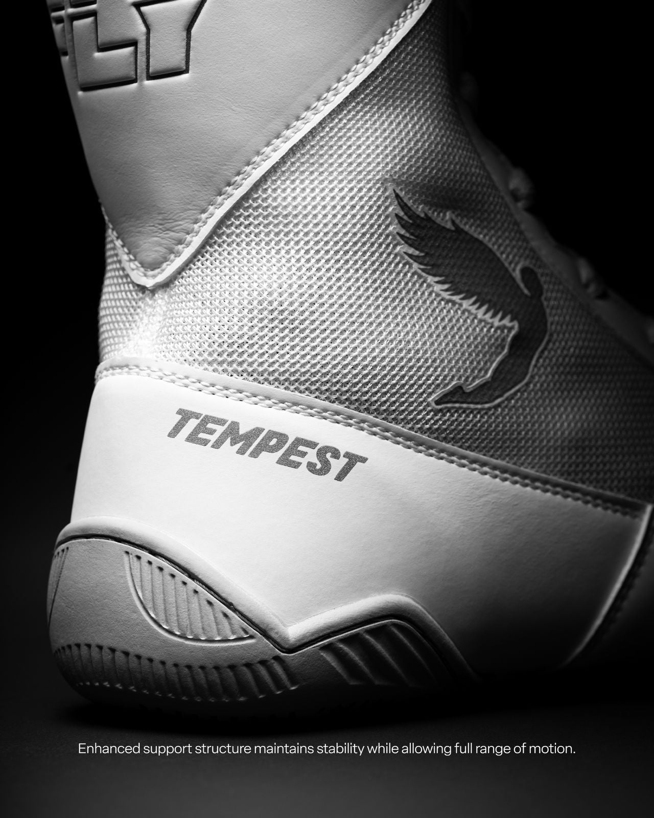 FLY Tempest Boxing shoes / sepatu tinju boxing FLY Tempest Boots