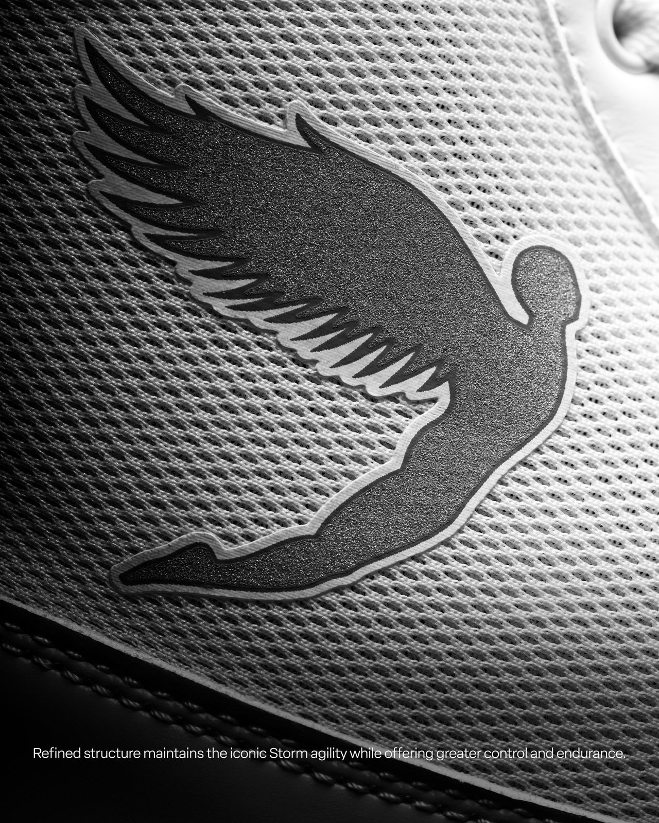 FLY Tempest Boxing shoes / sepatu tinju boxing FLY Tempest Boots